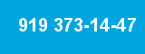 919 373-14-47
